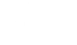 PASSION white with text Passion for Success