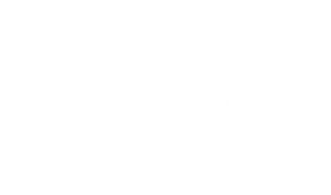 PRIDE white with text Pride in Our Efforts