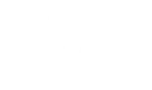 PROMISES white with text Promises Dellivered